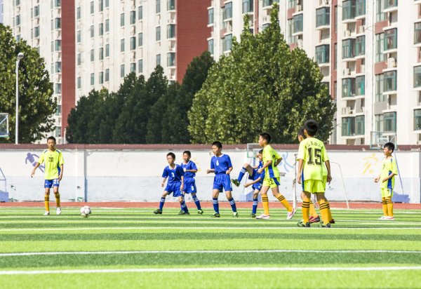 世界杯(中国) 央视：中央财政安排5亿元 撑执莳植校园足球特质学校才调水平