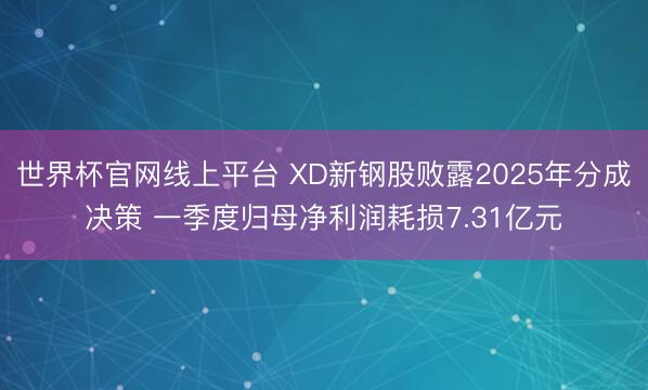 世界杯官网线上平台 XD新钢股败露2025年分成决策 一季度归母净利润耗损7.31亿元