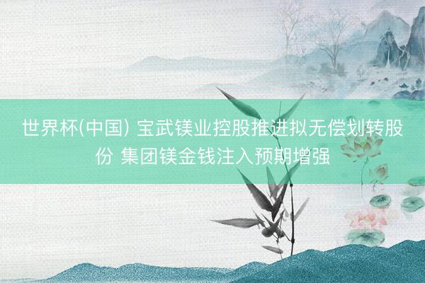 世界杯(中国) 宝武镁业控股推进拟无偿划转股份 集团镁金钱注入预期增强