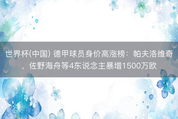 世界杯(中国) 德甲球员身价高涨榜：帕夫洛维奇、佐野海舟等4东说念主暴增1500万欧