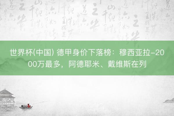 世界杯(中国) 德甲身价下落榜：穆西亚拉-2000万最多，阿德耶米、戴维斯在列
