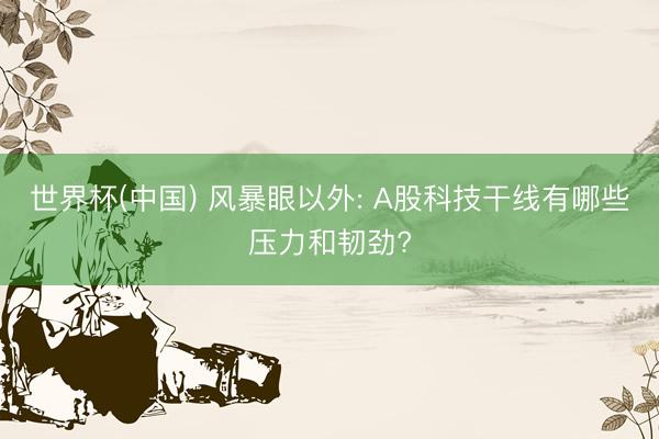 世界杯(中国) 风暴眼以外: A股科技干线有哪些压力和韧劲?