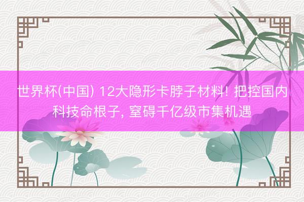 世界杯(中国) 12大隐形卡脖子材料! 把控国内科技命根子， 窒碍千亿级市集机遇