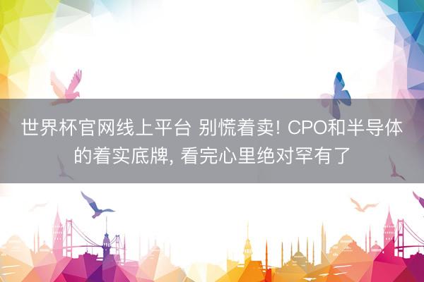 世界杯官网线上平台 别慌着卖! CPO和半导体的着实底牌， 看完心里绝对罕有了