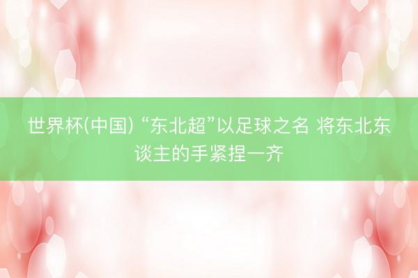 世界杯(中国) “东北超”以足球之名 将东北东谈主的手紧捏一齐