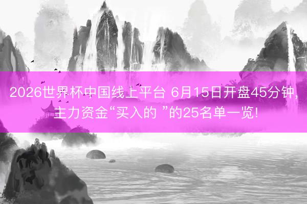 2026世界杯中国线上平台 6月15日开盘45分钟， 主力资金“买入的 ”的25名单一览!