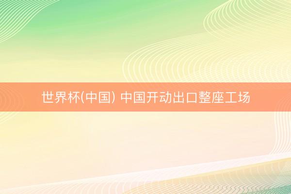 世界杯(中国) 中国开动出口整座工场