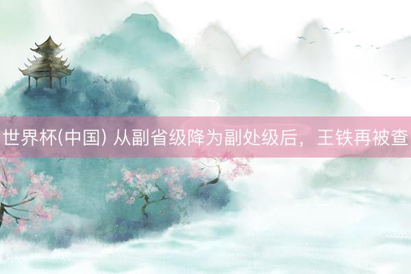 世界杯(中国) 从副省级降为副处级后,王铁再被查
