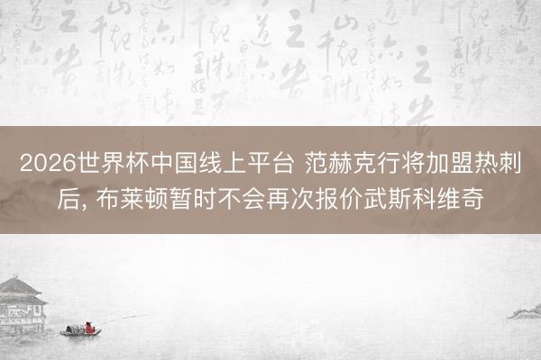 2026世界杯中国线上平台 范赫克行将加盟热刺后， 布莱顿暂时不会再次报价武斯科维奇