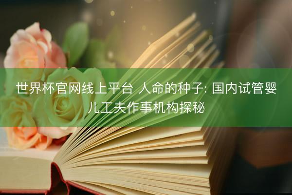 世界杯官网线上平台 人命的种子: 国内试管婴儿工夫作事机构探秘