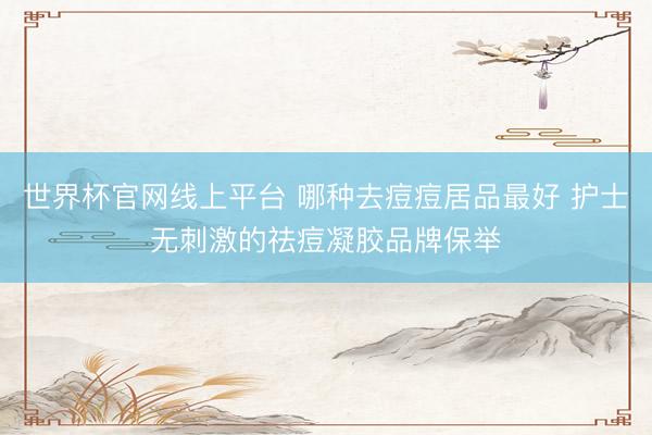 世界杯官网线上平台 哪种去痘痘居品最好 护士无刺激的祛痘凝胶品牌保举